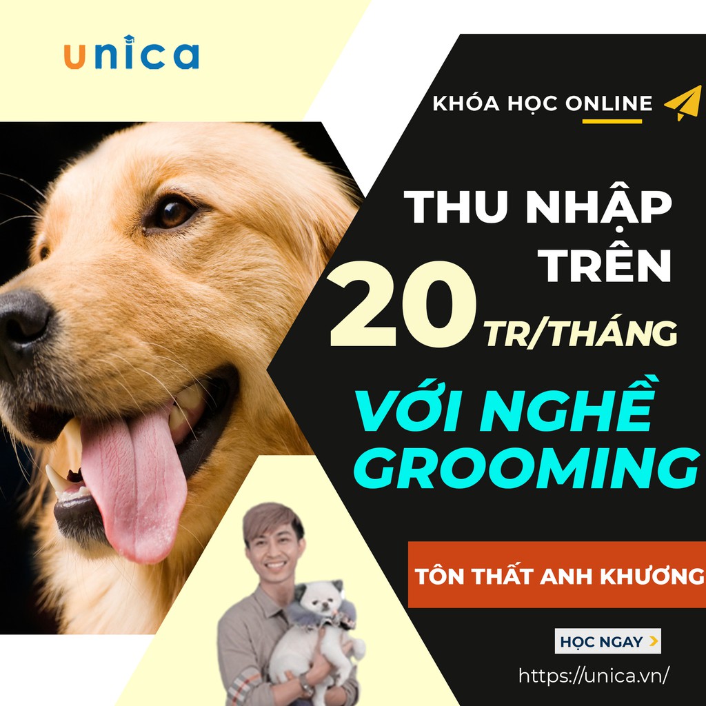 FULL khóa học Thu nhập trên 20 triệu đồng 1 tháng với nghề Grooming - chăm sóc thú cưng