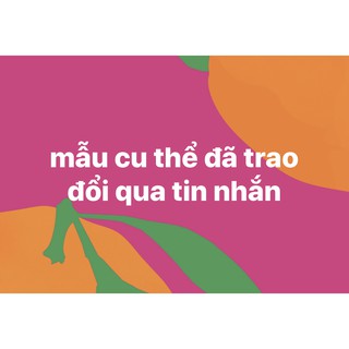 Combo Sỉ ÁO KHOÁC DẠ