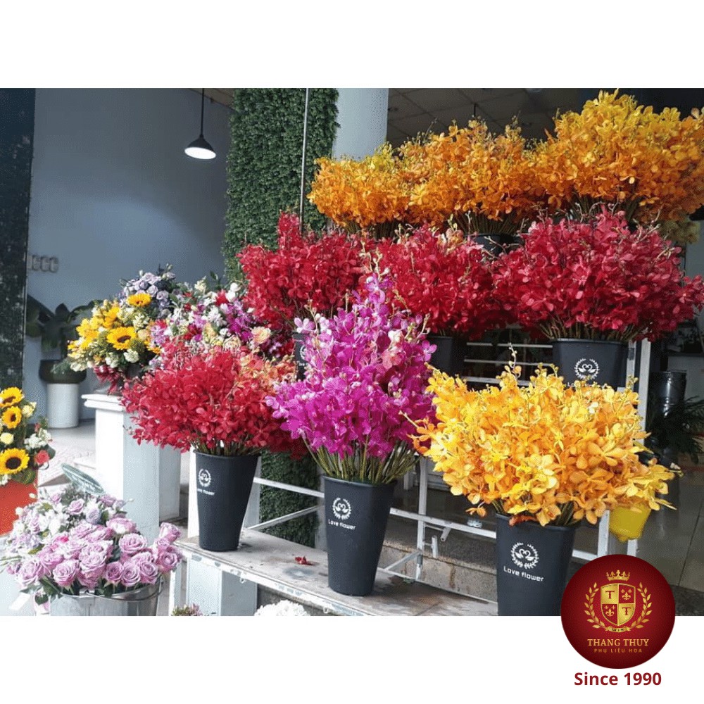 Xô nhựa đựng hoa