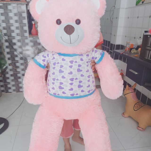 Gấu teddy hồng