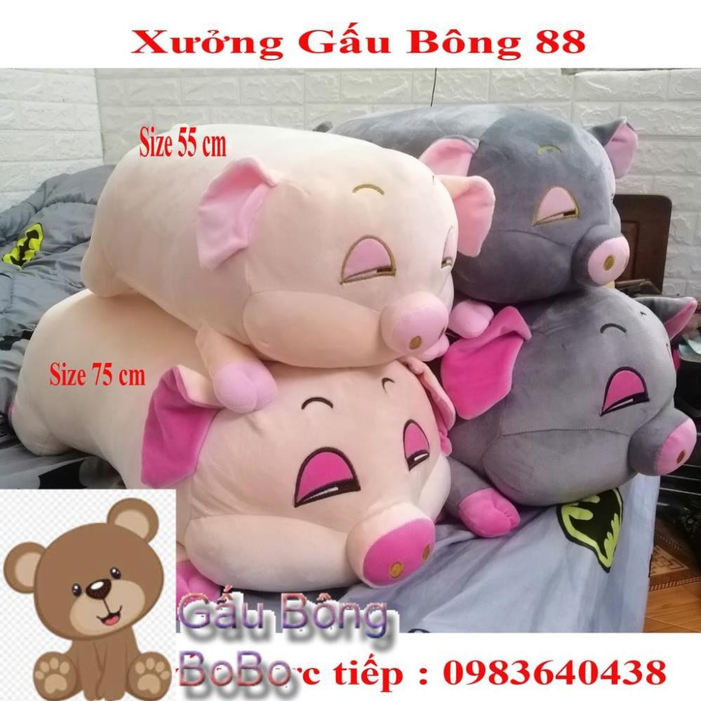 [BOBO] [Rẻ Vô Địch ] Gấu bông con heo nằm ngủ cực đẹp mắt và đáng yêu size 55 cm [ Có hình ảnh - video thực ]