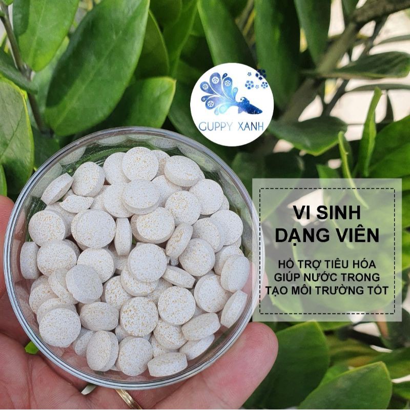 1 viên vi sinh EM dạng viên nén- vi sinh làm trong nước bể cá