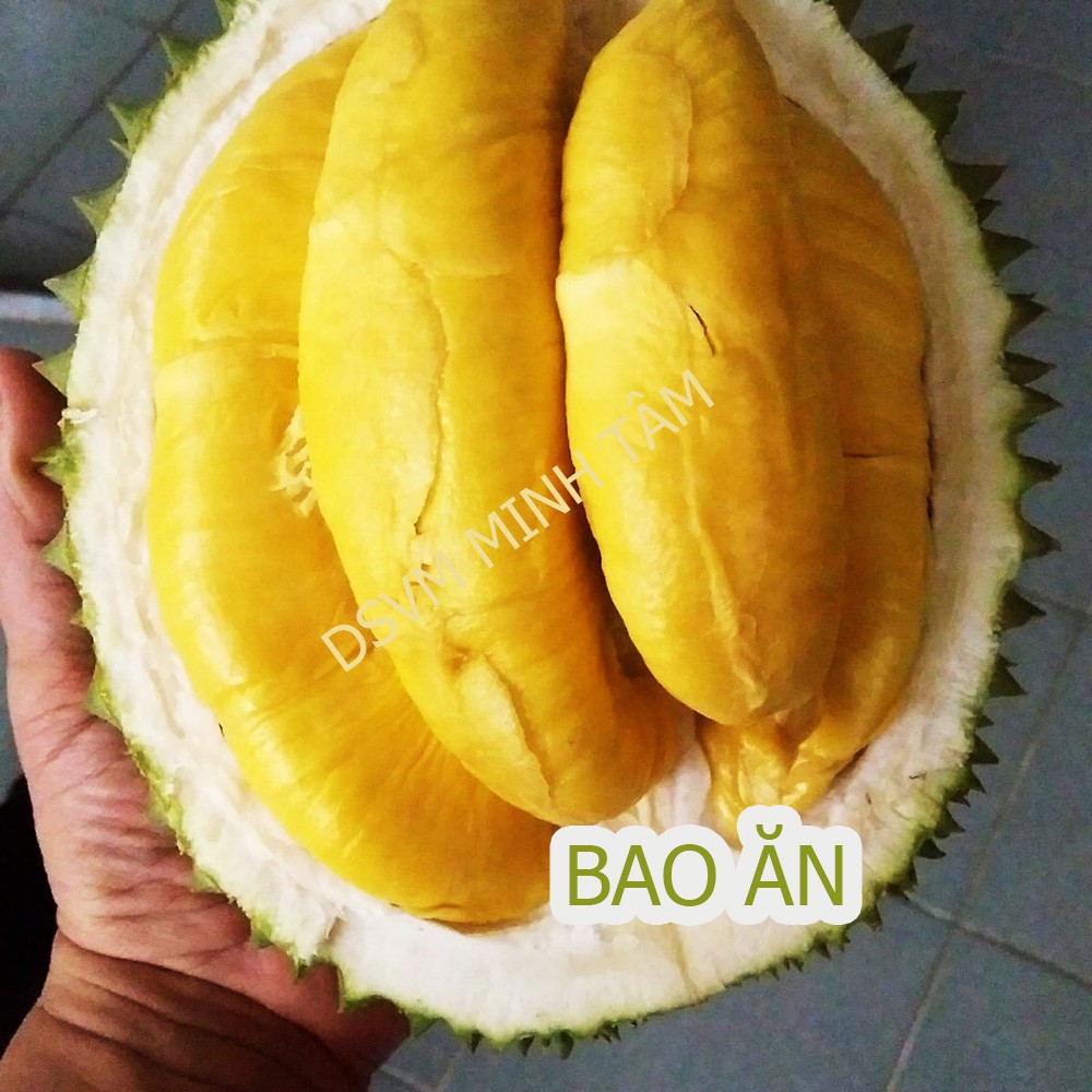 Cơm Sầu riêng ri6 loại 1 ăn liền thơm ngon bổ dưỡng loại 1kg Bao Ăn Từng Múi [CHỈ GIAO TPHCM]