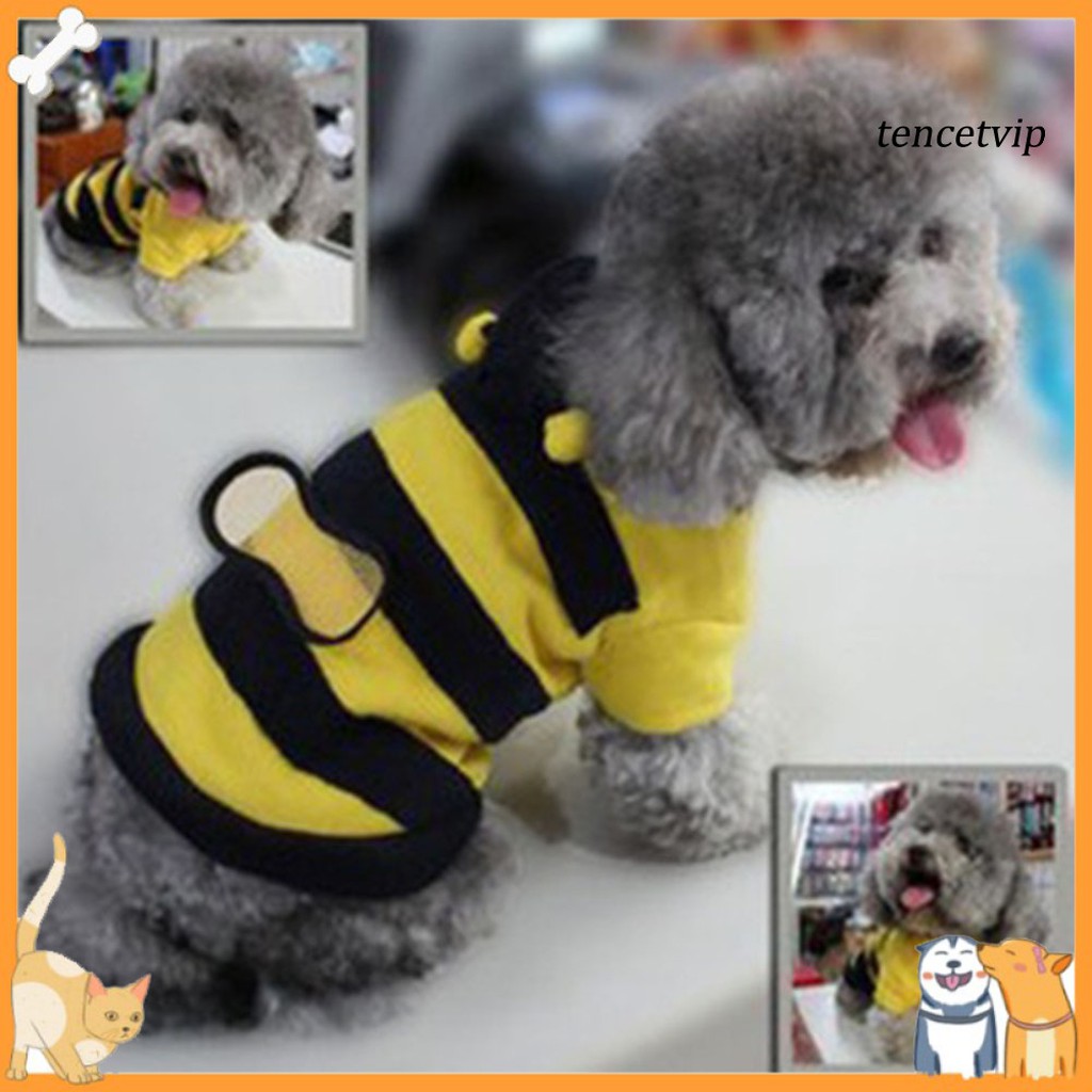 Áo Hoodie Họa Tiết Chú Ong Đáng Yêu Cho Thú Cưng