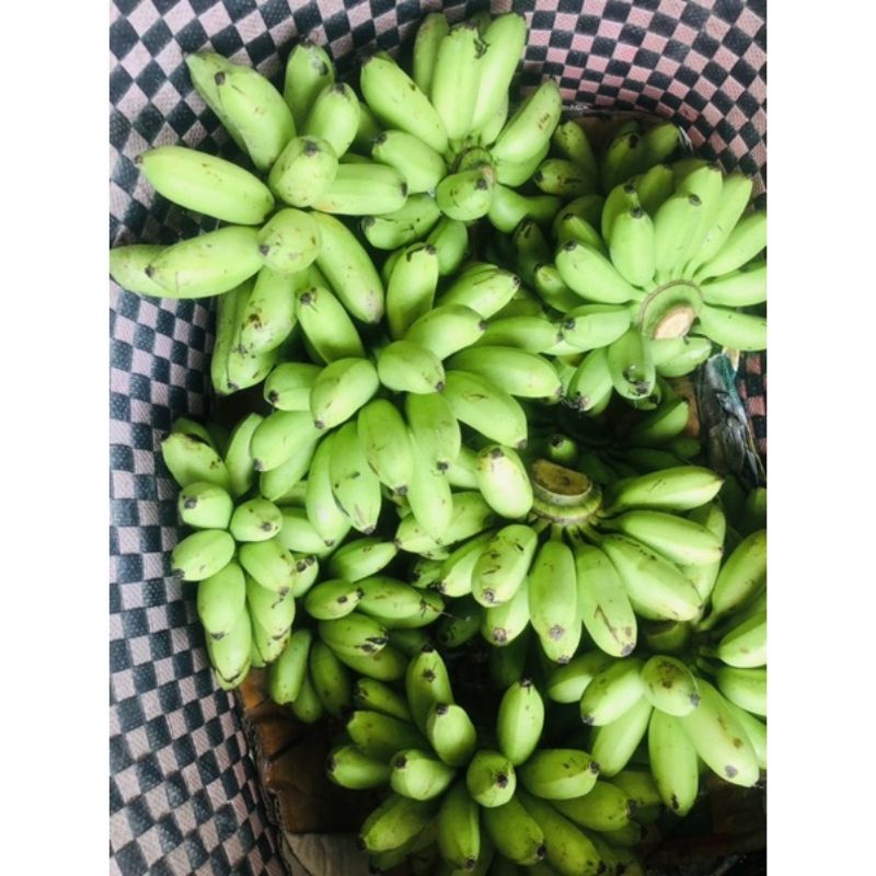 CHUỐI CAU.giao chuối còn sống.trái già no tròn.