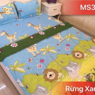 Ga trải giường bọc đệm m6 set 4 món
