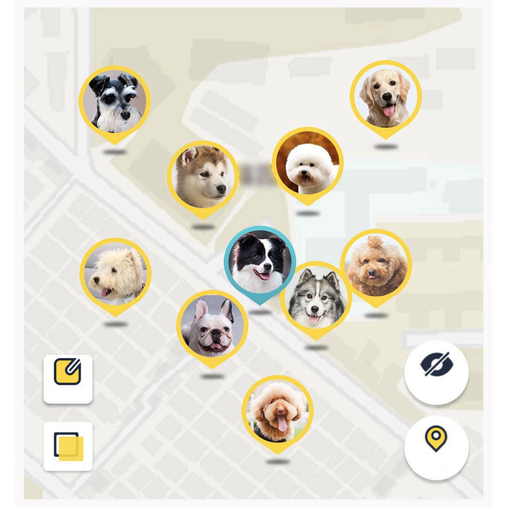 Máy định vị xe cộ, thú cưng (Chó/mèo) XIAOMI Xiaomi Accompanying pet dog locator - Phụ Kiện Chi Hà