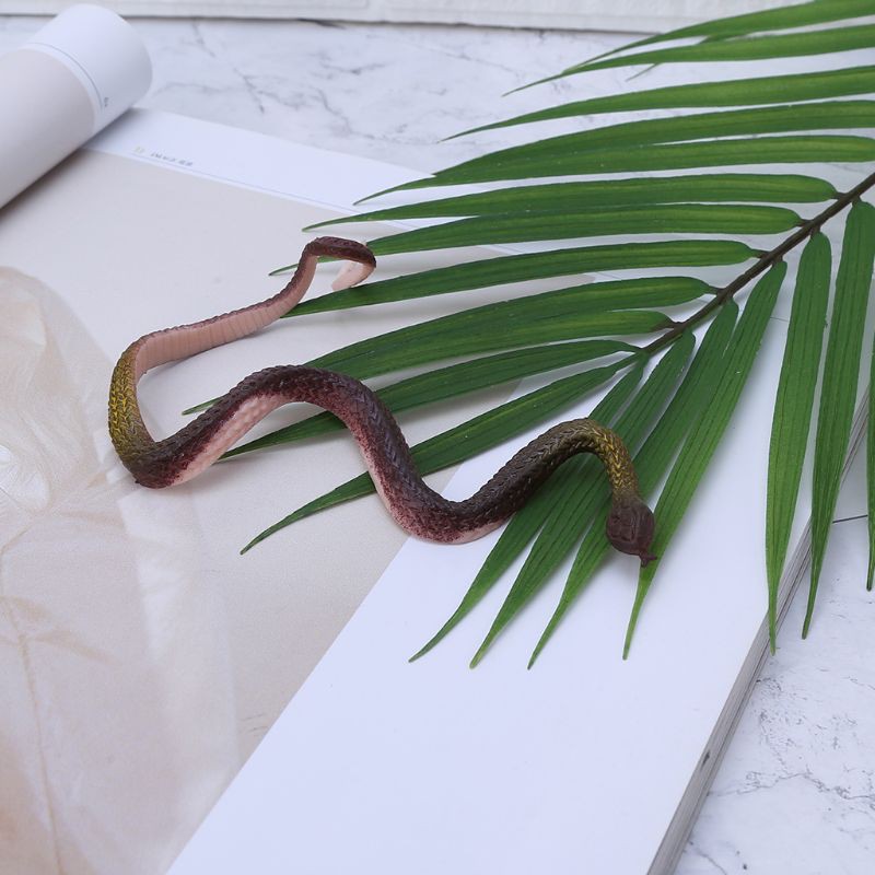 Đồ chơi rắn giả bằng cao su