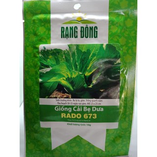Hạt giống cải bẹ dưa Rạng Đông
