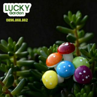 Phụ kiện terrariums - cây nấm xốp nhiều màu phụ kiện