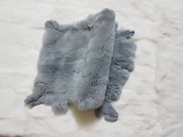 Lông thỏ Rex nguyên tấm