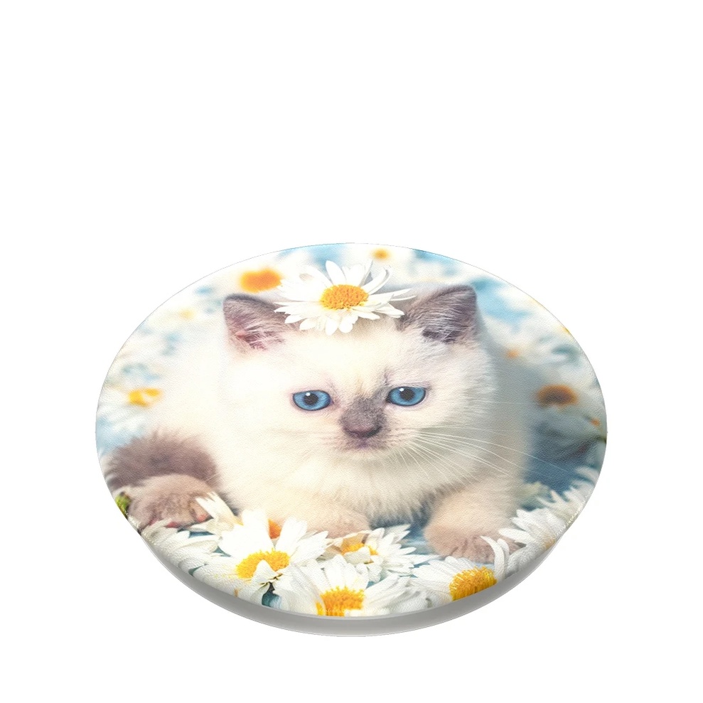 Mặt thay thế Popsockets PT-Purr-fect Flower OW (Không có đế keo) - Hàng Chính Hãng