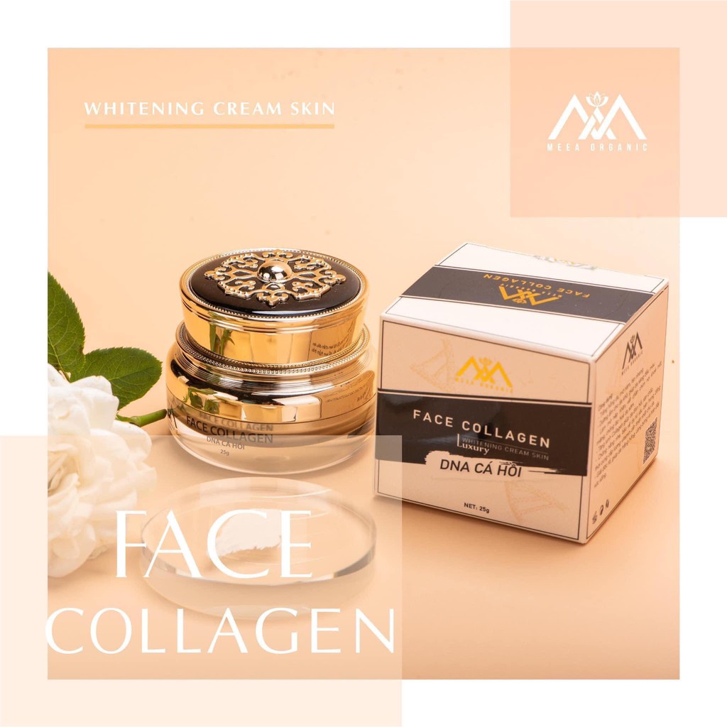 Face Dna Cá Hồi Meea 25gr