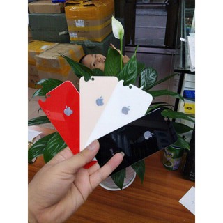 🔥Cường lực mặt lưng giả Iphone 8 Plus
