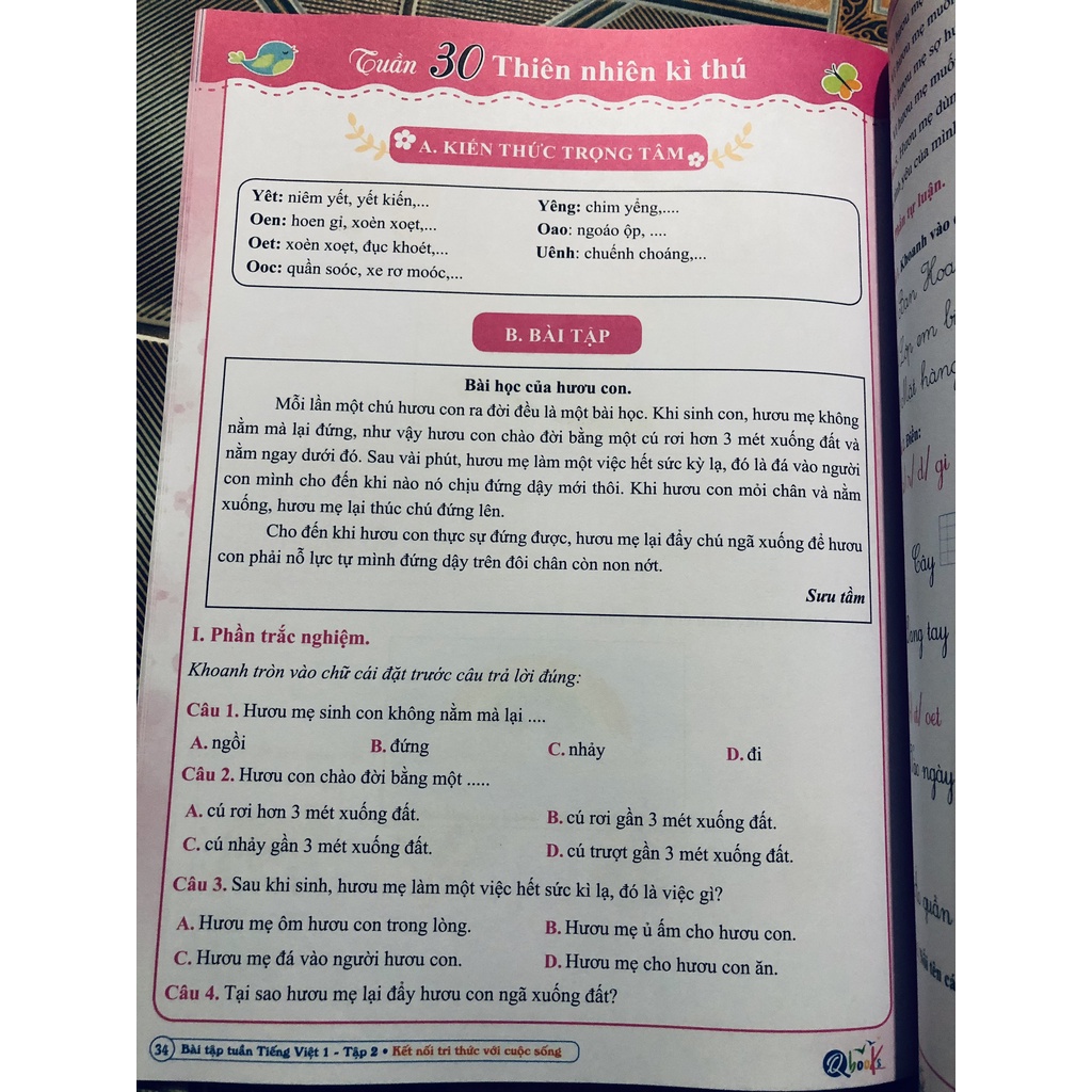 Sách - Bài Tập Tuần Tiếng Việt lớp 1 Tập 2 - kết Nối Tri Thức Với Cuộc Sống (1 cuốn)