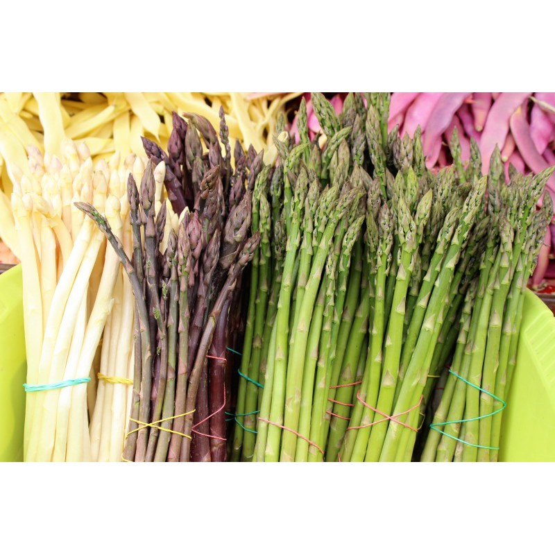 HẠT GIỐNG MĂNG TÂY NHIỀU MÀU  - 1 Gói