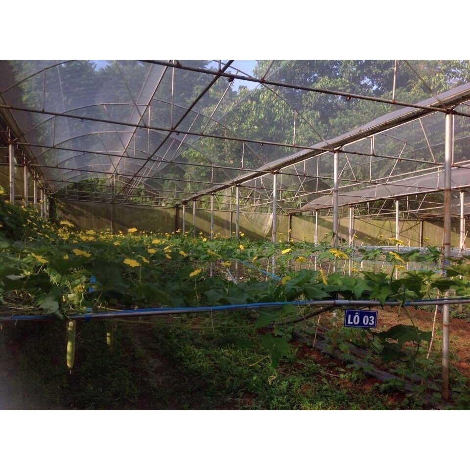 5m x 1,5m Lưới Phù Du chắn bụi mịn -  côn trùng, lưới chắn gió cản mưa che rau sạch cao cấp