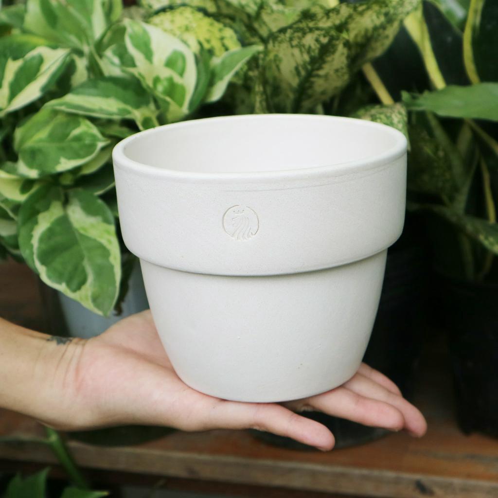 Chậu đất nung ENVIE ly gờ bầu vintage, thích hợp trồng các loại cây kiểng lá