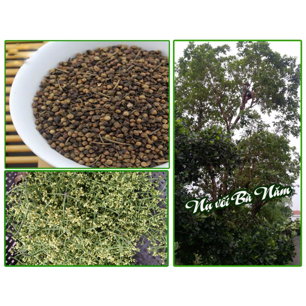 Nụ vối 500g