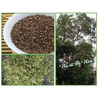 Nụ vối 500g