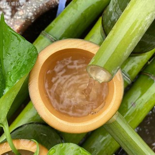 Ống tre trang trí bể cá