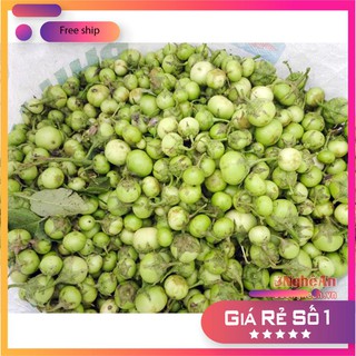 Hạt giống cà pháo xanh cao sản -2gr LUCKY.VN