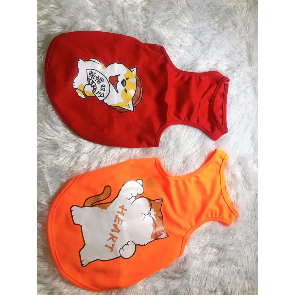 ÁO CHÓ MÈO - BA LỖ ( HÀNG TAOBAO CÓ SẴN )