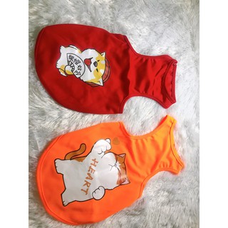 ÁO CHÓ MÈO - BA LỖ ( HÀNG TAOBAO CÓ SẴN )