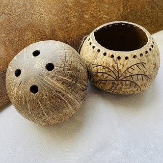 CHẬU TRỒNG CÂY BẰNG GÁO DỪA CÓ DÂY TREO