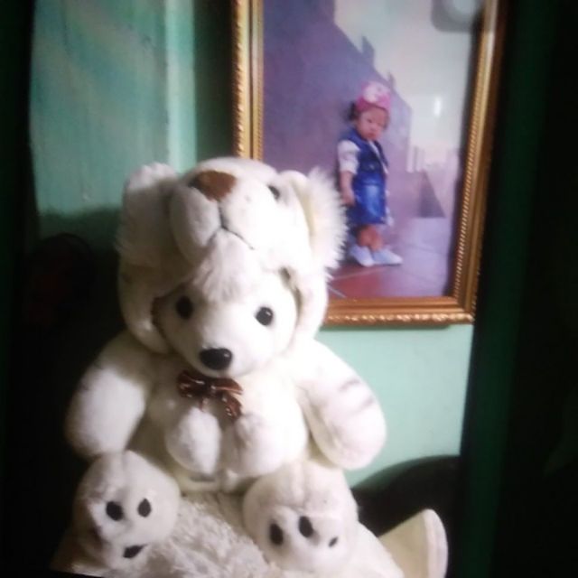 Gấu bông của thanh nhàn