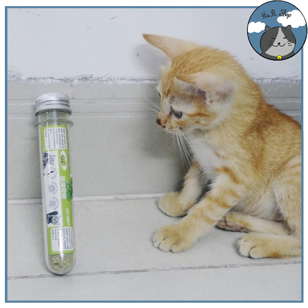 Cỏ Mèo (Catnip) Cho Mèo, Cỏ Bạc Hà Cho Mèo Giá Siêu Rẻ Dành Cho Thú Cưng Ống 10G