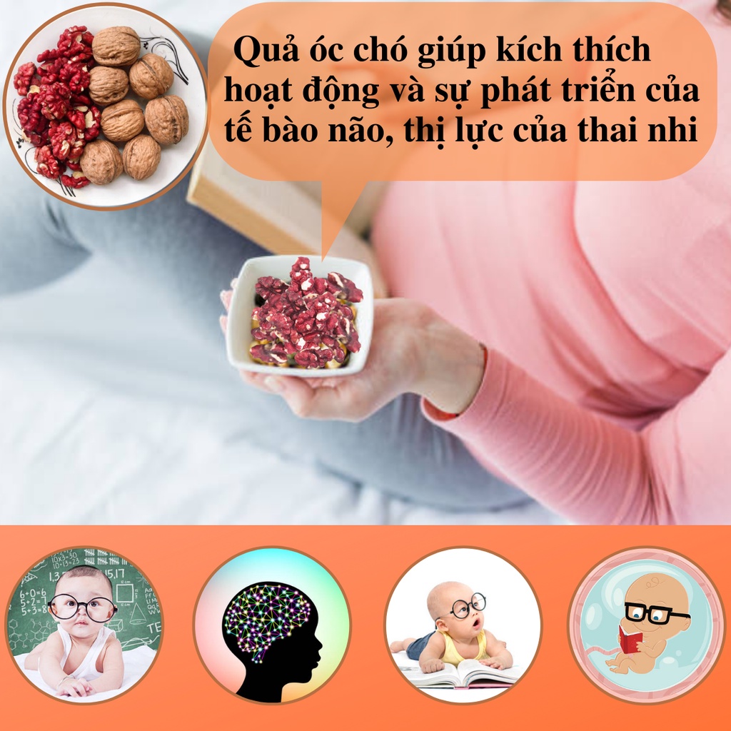 Quả óc chó đỏ (thơm ngon, bổ dưỡng, vỏ mỏng), nhập khẩu Mỹ rất tốt cho bà bầu và thai nhi loại 350gr