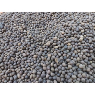 1kg Phân dê dùng để bón Lan và cây cảnh