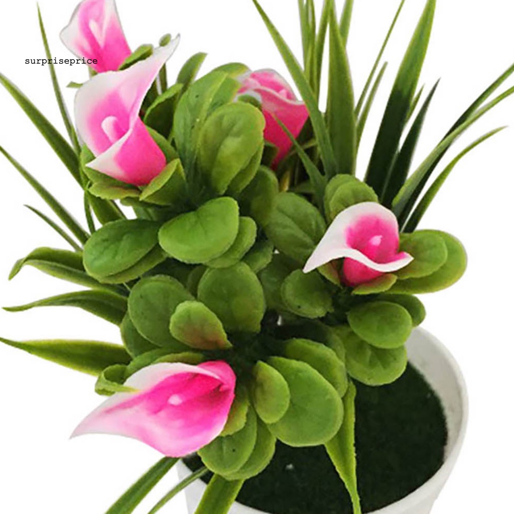 Chậu Cây Bonsai Giả Trang Trí Tiệc Tùng / SPA