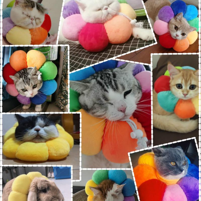 ELIZABETH SUN FLOWER Vòng Đeo Cổ Họa Tiết Hoa Xinh Xắn Dành Cho Thú Cưng