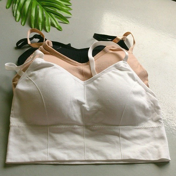 FreeShip Áo Lót Ngực Nữ Cotton Trơn Có Đệm Ngực, Áo Bra Thời Trang - Tập Gym HIEU STOREi