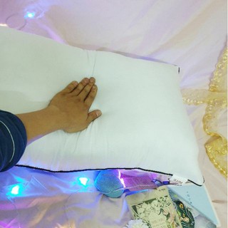 Ruột Gối Hitton ( 2 chiếc )