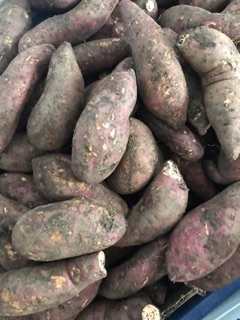Combo khoai mật 10 kg