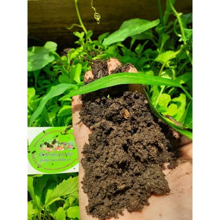 1kg Phân Bò Hoai Giữ Độ Ẩm Duy Trì Hệ Vi Sinh Vật Cải Tạo, Bổ Sung Cho Đất