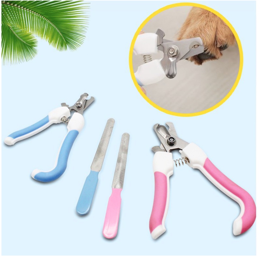 Kìm cắt móng cao cấp cho chó mèo  2 size lớn và nhỏ | PETSMART OFFICIAL