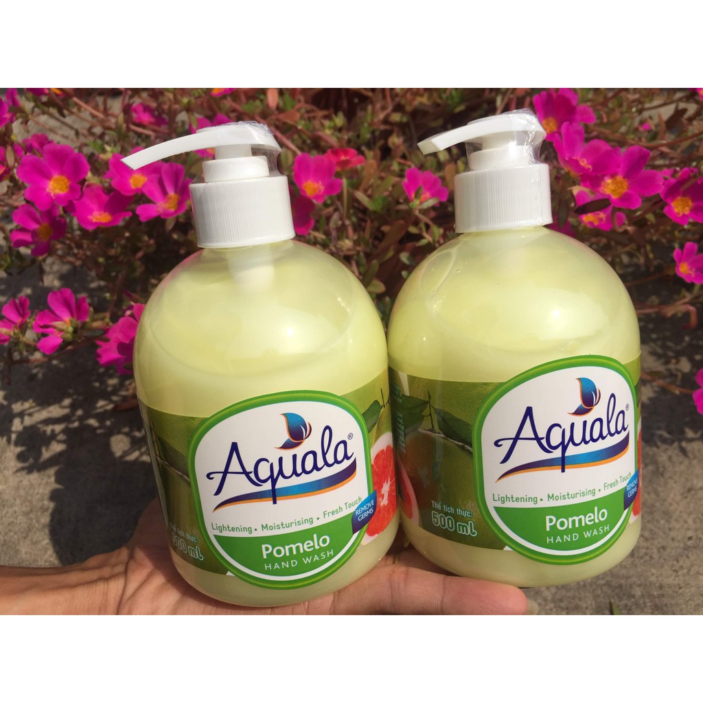 Com bo 2 chai nước rửa tay diệt khuẩn Aquala hương trái cây 500 ml