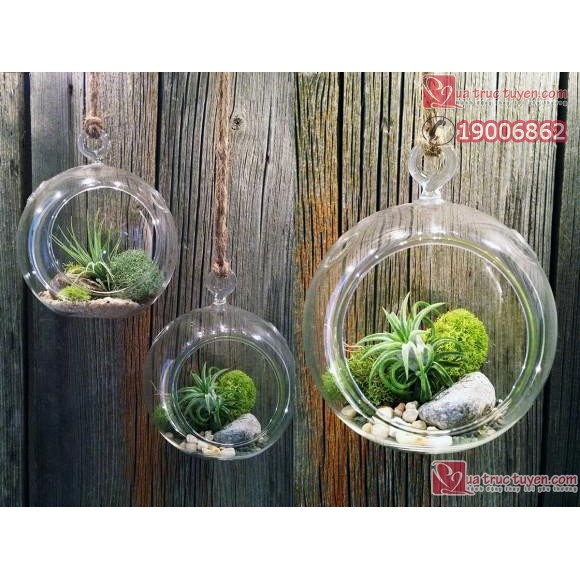 Bình thủy tinh tròn treo 13,5 cm