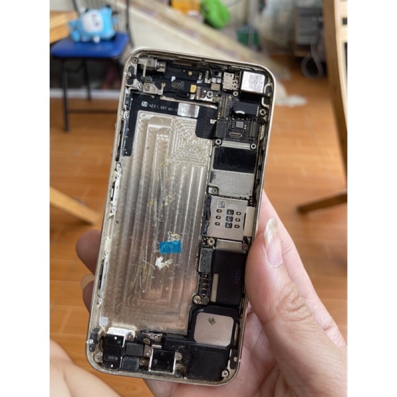 main iphone 5s helo