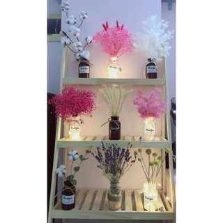 Hoa khô-Lọ hoa decor trang trí nhà cửa