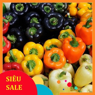 10 Hạt giống Ớt chuông mix (tặng gói Kích nẩy mầm và Hướng dẫn)