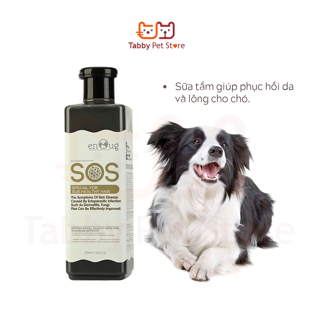 Sữa tắm cho chó mèo poodle trị ve rận bọ chét SOS Tabby Pet Store
