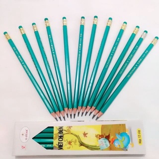 COMBO 12 CÂY CHÌ GSTAR 2B