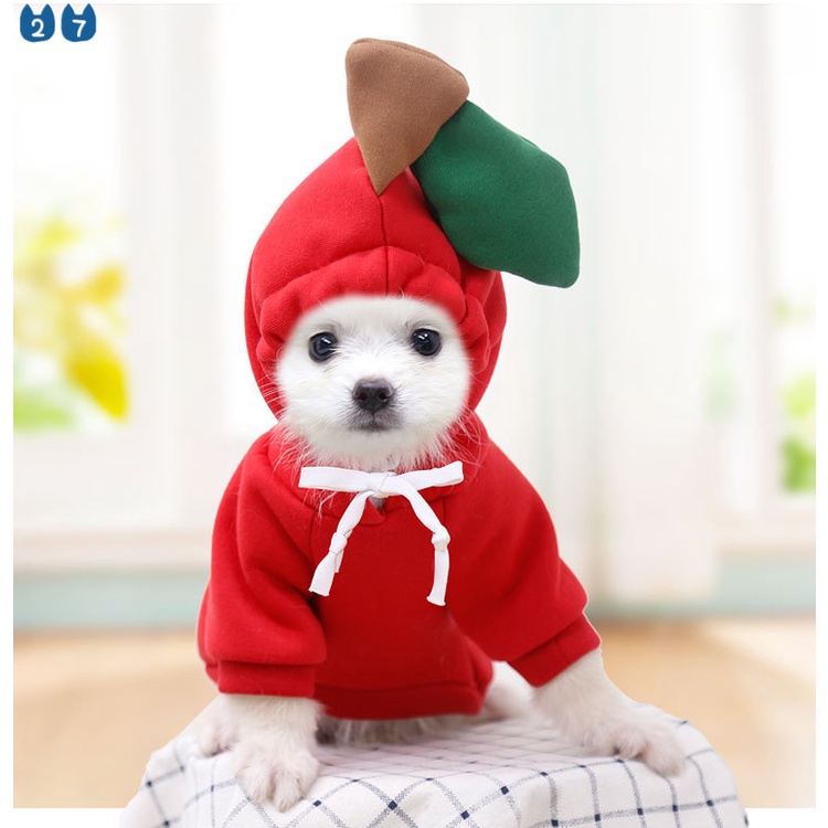 Áo Sweater Có Mũ Trùm Nhồi Bông Thời Trang Thu Đông 27 Pets