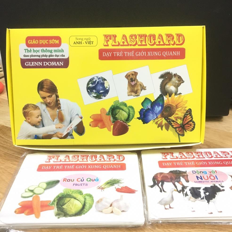[Thanh lý xả kho] Thẻ học flashcard thế giới xung quanh cho bé - Thẻ to