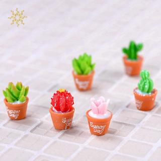 1 cây xương rồng nhựa mini trang trí tiểu cảnh độc đáo
